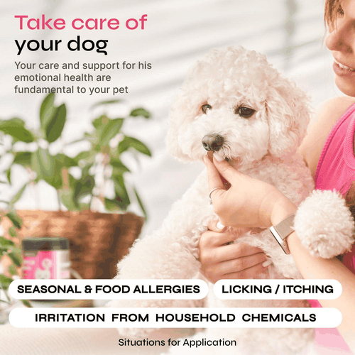 Dog Allergy Relief Chews Dog Itching Skin Relief Anti Itch for Dogs Duck Flavor - Picture 4 of 8