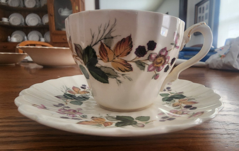 Chelsea Olde Hedgerow Cup & Saucer Set Porcelain MYOTT by Staffordshire White !