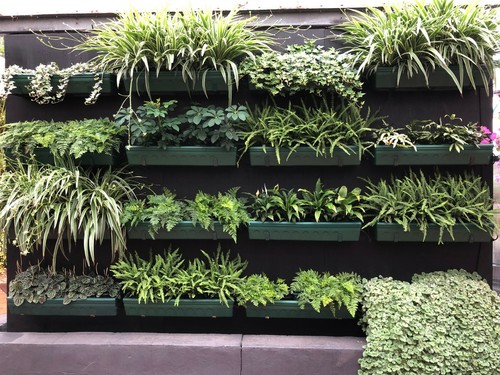 Brand NEW Autopot Window Box Module - great for growing herbs and lettuces - Picture 6 of 10
