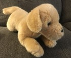 Foto 1 di 8