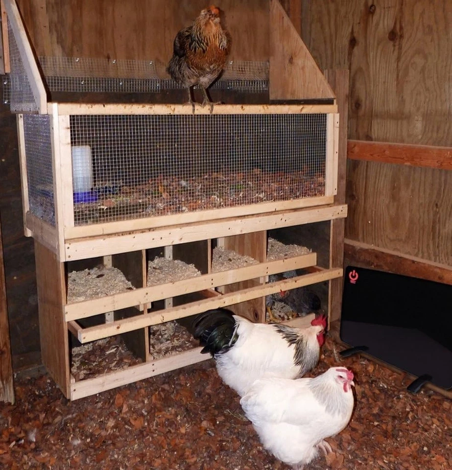 Thermal Protected Chicken Coop Heater - Lightweight & Energy Efficient 200W - Image 4 of 4