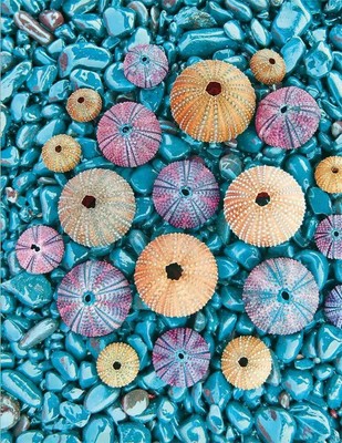 Sea Treasures | Blankbook | Tushita-Verlag | Buch | 144 S. | Deutsch | 2021