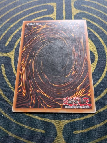Treeborn Frog Yugioh FRENCH 1st Ed First Edition SOI-FR025 Rare Foil Holo - Picture 4 of 4