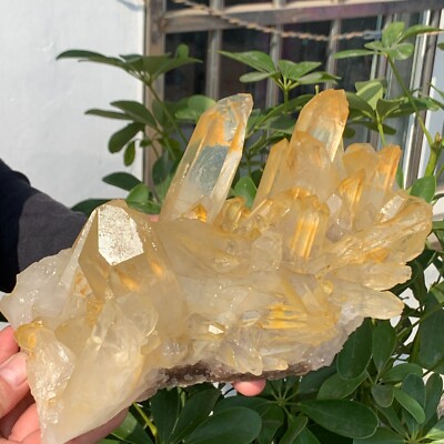 5.56LB Clear Natural Beautiful White QUARTZ Crystal Cluster Specimen