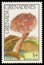 GRANADA-GRANADINAS 1327 - Setas "Boletellus cubensis" (pb40062)