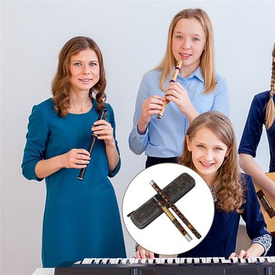 Querflöte Einführungsflöte Musikinstrumente Chinesisches Traditionelles