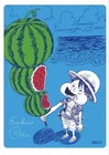 One Piece Luffy Natsucomi 2026 Meta-Kira Promo card Japanese