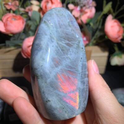 240g Natural Purple Labradorite Free Form Ornament Crystal Quartz Reiki 89mm