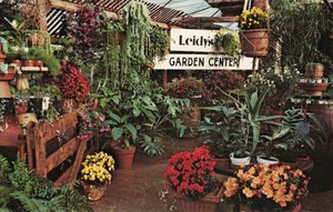 威廉斯堡pa Leidys 温室花园中心 Ebay