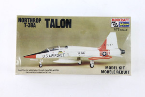 T38 Model | eBay