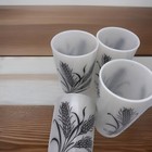 Foto 2 di 5
