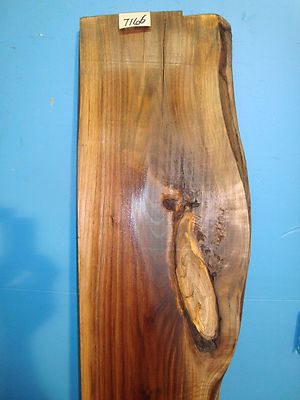 # 7166 Black Walnut Live Edge Slab lumber craft wood 72''L 12''W 2 9/16''T