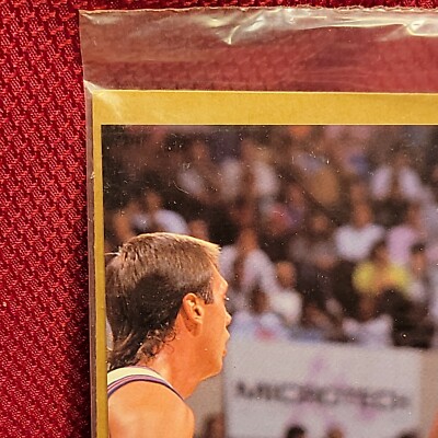 SCOTTIE PIPPEN chicago bulls 8