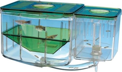 AN2 Aqua Nursery and Hatchery Breeding Box for Your Aquarium - Help Protect Baby