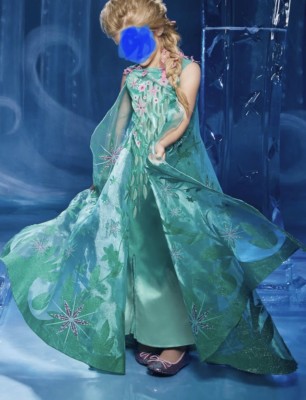 Chasing Fireflies Ultimate Elsa Frozen Fever Costume Dress Size 14 Girls |  eBay