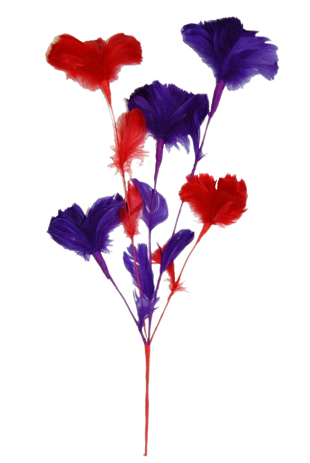 Rooster Multicolor Plumas para Manualidades