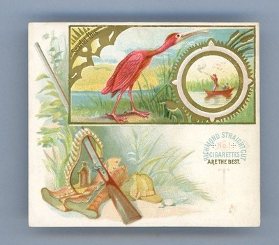 1888 N40 Allen & Ginter Game Birds ''Scarlet Ibis'' EX/NM (STAIN) **BB-7581**