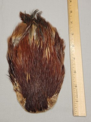 Lot 6,  Grade B,  Natural India Rooster Streamer Neck Cape Feathers