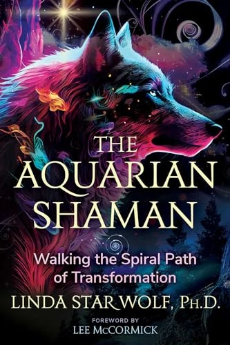 Der Wassermann-Schamane: Auf dem spiralförmigen Weg der Transfo wandeln - Taschenbuch NEU Wolf, Li