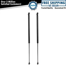 Liftgate Lift Support Shock Strut Set For 2018-2020 Nissan Kicks