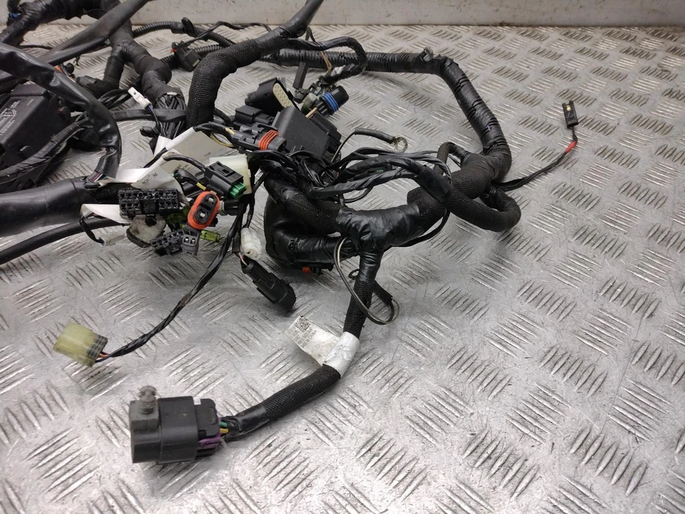 Arnés de cableado Victory Judge 2013 Foto 2 de 4