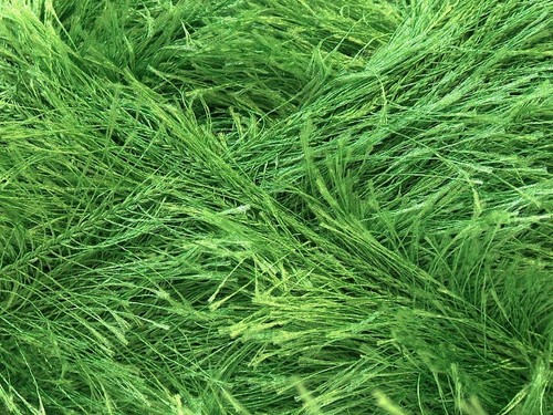 Large 100 gr Jungle / Grass Green Eyelash Yarn #22741 Ice Packer's Green Fun Fur - Picture 2 of 3