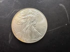 2013 SILVER EAGLE  one ounce                   Lot #1342