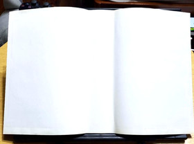 GAROU MARK OF THE WOLVES for Neogeo AES SNK   Rare!