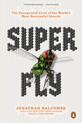 Super Fly: The Unexpected Lives of the World's Most Successful Insects: New