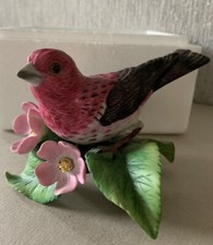 BIRD THE PURPLE FINCH BROOKS & BENTLEY PORCELAIN  PERFECT BOXED