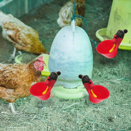 6 Stück Vögel Wasserspender zum Aufhängen, automatisch, praktisch für die Fütter - Bild 10 von 10