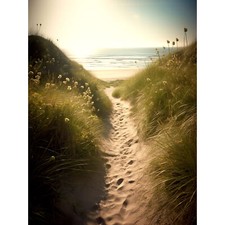 Summer Beach Path Bright Sunny Sandy Coastal Landscape Seascape Art Print 18X24"