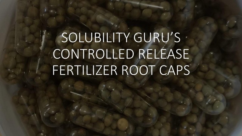 Root Caps 25/bottle Freshwater Planted Aquariums and Potted Plant Nutrient Caps