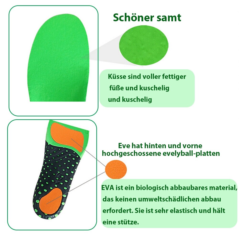 Bild 5 von 12