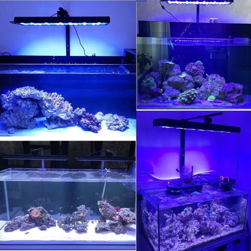 PopBloom WiFi Control Aquarium LED Lighting For Marine Coral Reef Grow Fish Tank - Picture 13 of 15