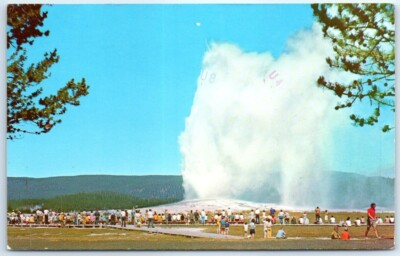 #ad Postcard Old Faithful Geyser Yellowstone National Park Wyoming $2.06