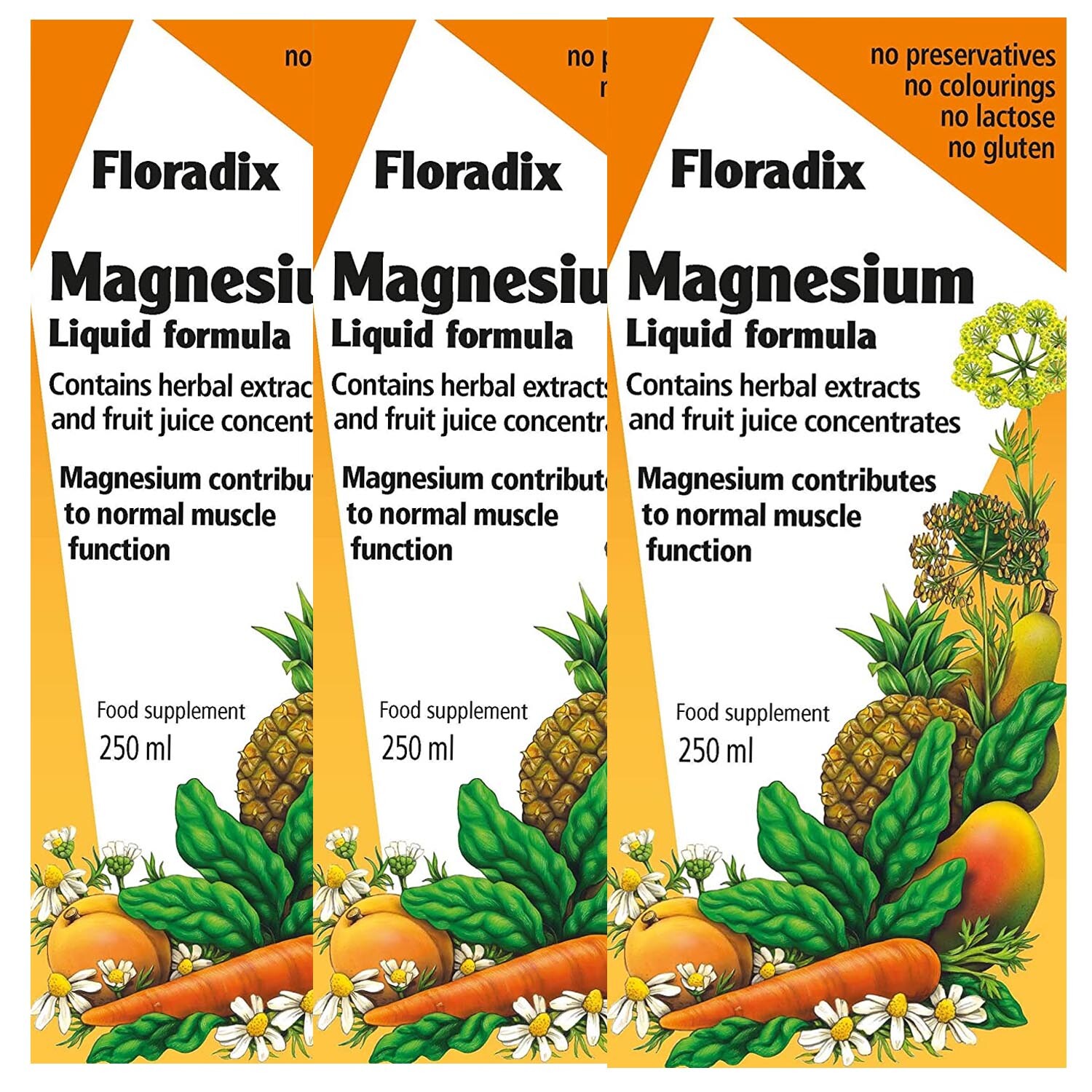 Floradix magnesium liquid mineral supplement 250ml PACKS eBay