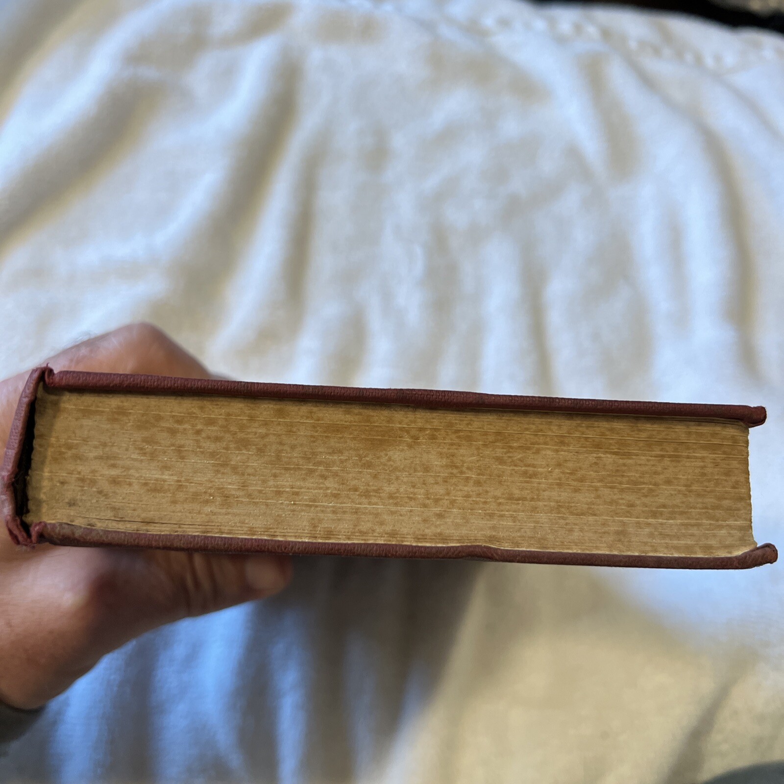 Picture 4 of 19
