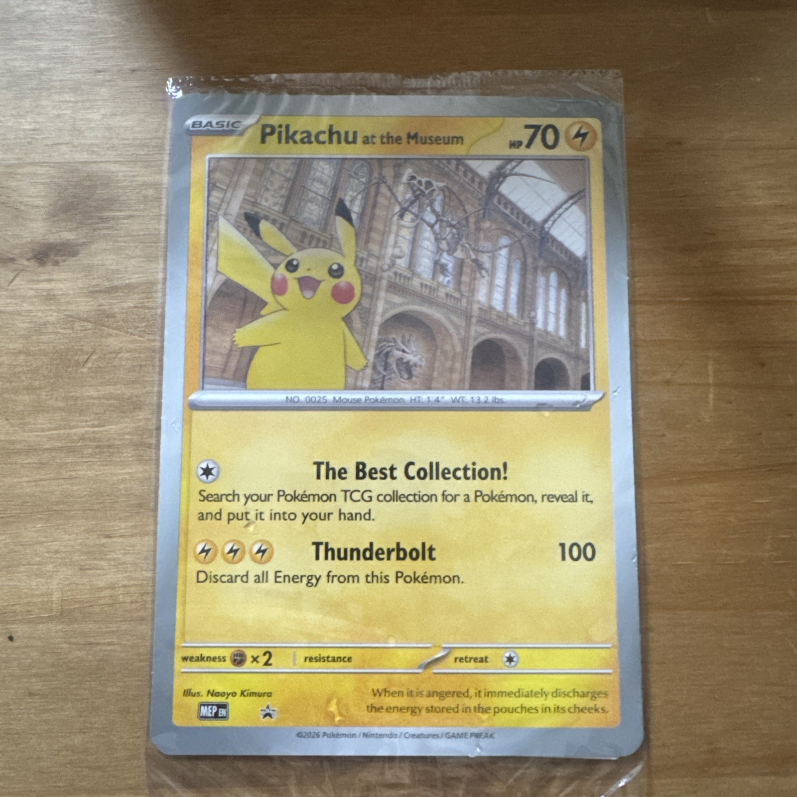 Pokémon TCG Pikachu At The Museum (Natural History) Jumbo Card | New & Sealed ✅