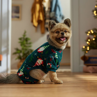 Frisco Dog & Cat Holiday Pajamas Mediums