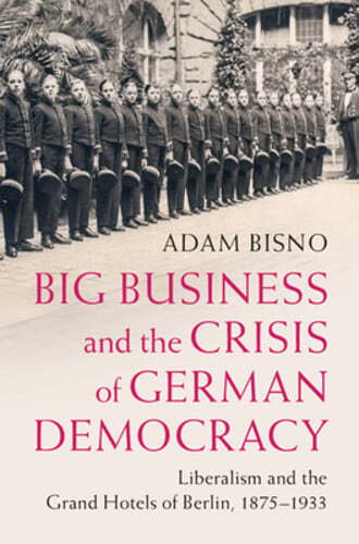 Das Großkapital und die Krise der deutschen Demokratie von Adam Bisno: Neu - Bild 1 von 1