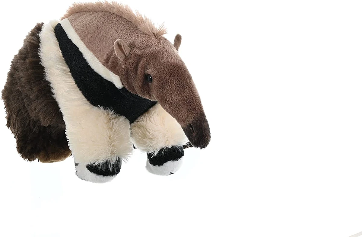 Anteater soft toy deals