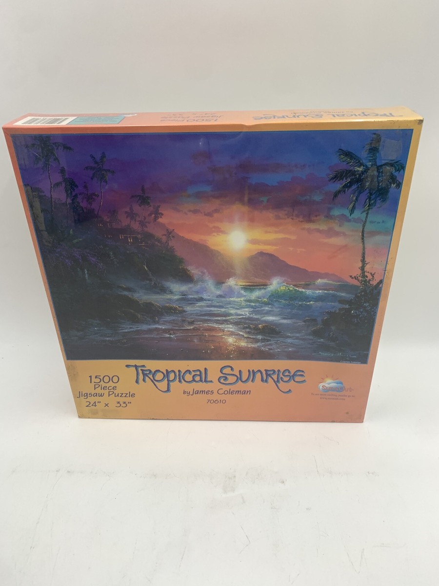 Tropical Sunrise by James Coleman SunsOut 24