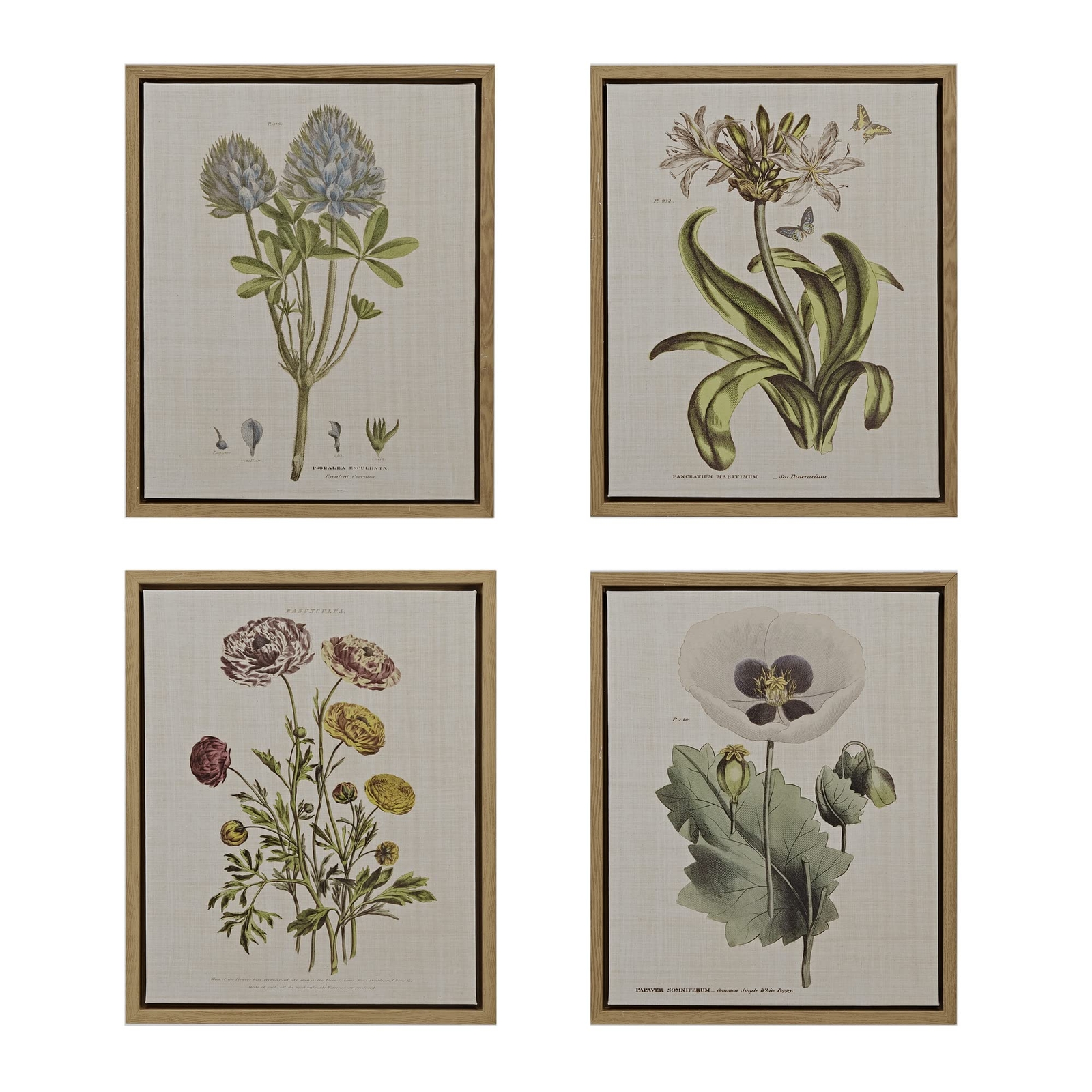 Botany Wall Art Living Room Decor - Floral Linen Canvas, Farmhouse Lifestyle ...