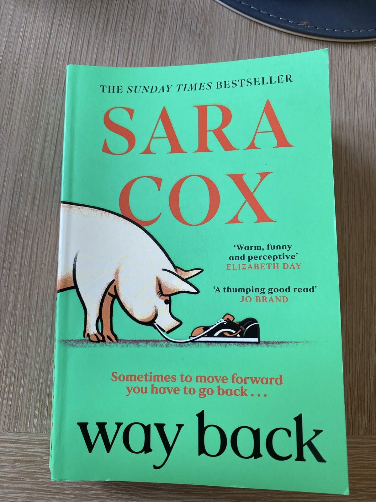 Way Back by Sara Cox Paperback VGC