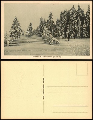 Schellerhau-Altenberg (Erzgebirge) skiers on the edge of the forest winter 1914