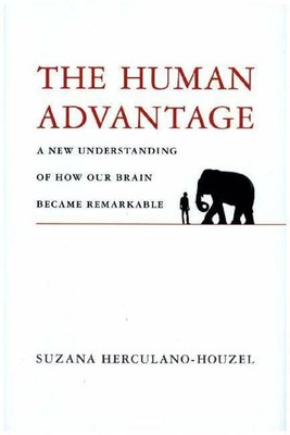 Human Advantage: A New Understanding of How Our Brain Became Buch MIT Press