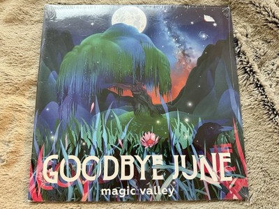 Vinile Goodbye June Magic Valley Vinyl LP Album Blues Rock 2017 New Seal