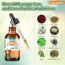 Natural Antibiotics for Cats Cat Antibiotics for Allergy Relief, Urinary Tr...