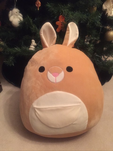 Squishmallows 16